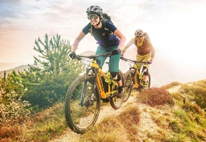 Icon Fahrräder und E-Bikes MTB